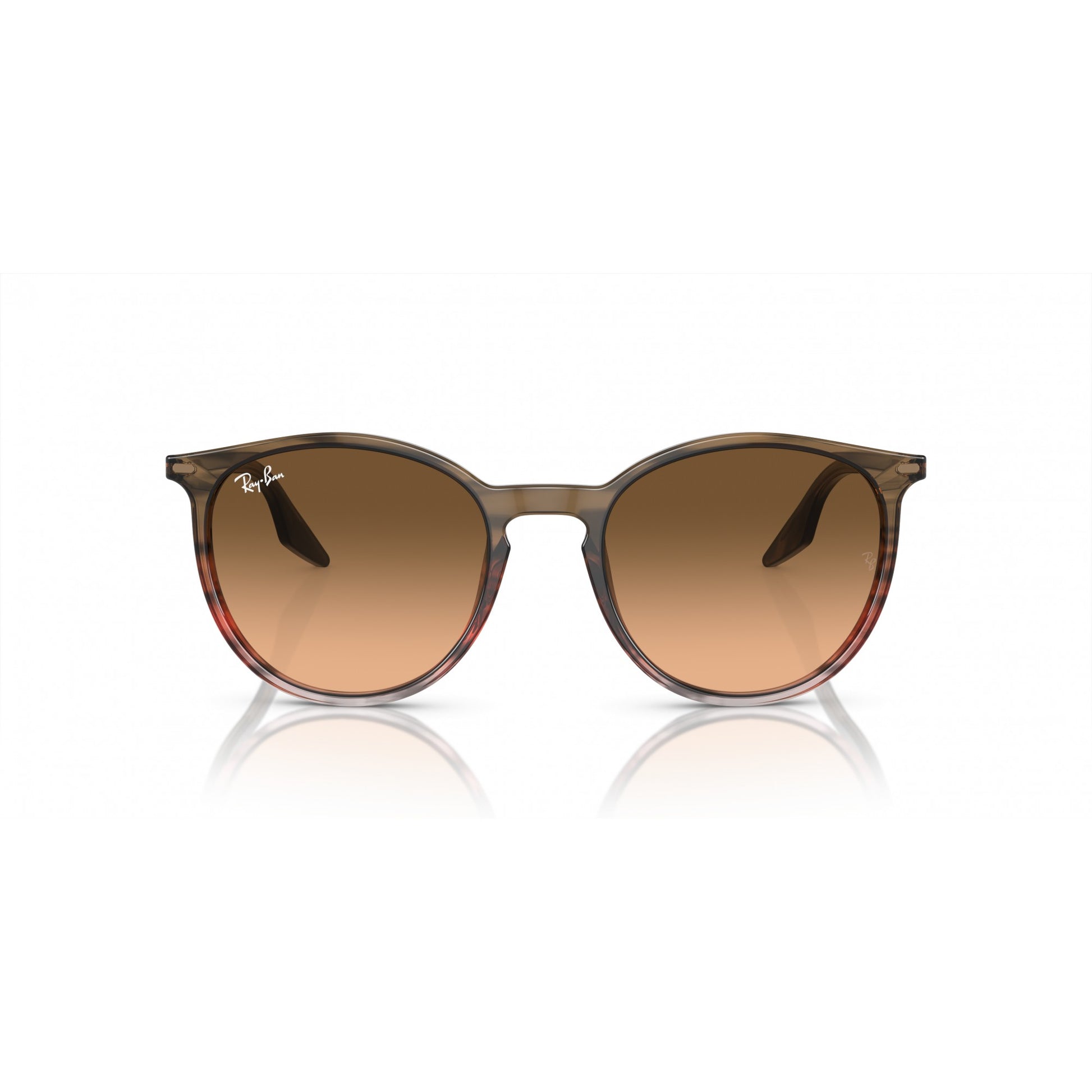 Ray-Ban 0RB2204