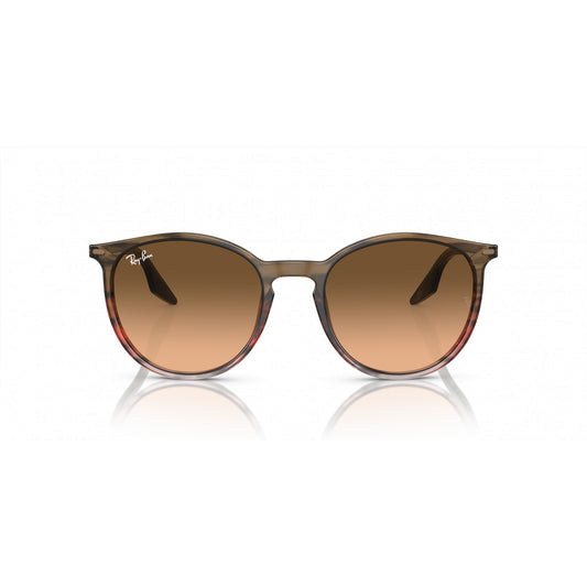 Ray-Ban 0RB2204