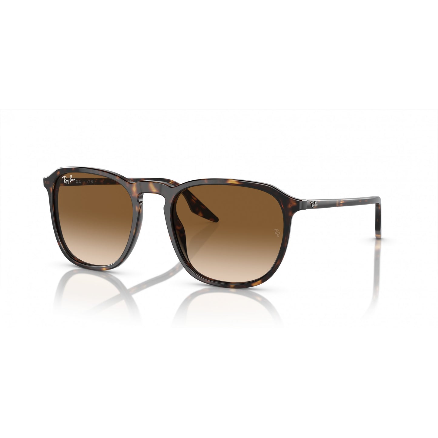 Ray-Ban 0RB2203