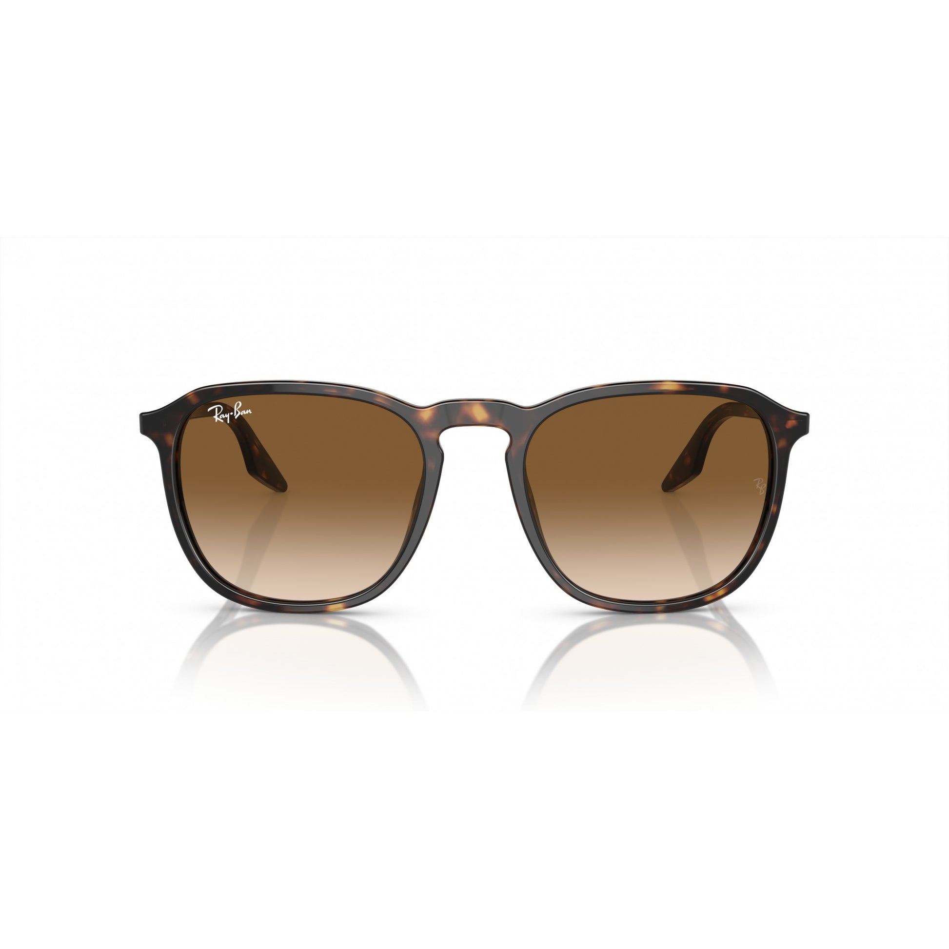 Ray-Ban 0RB2203