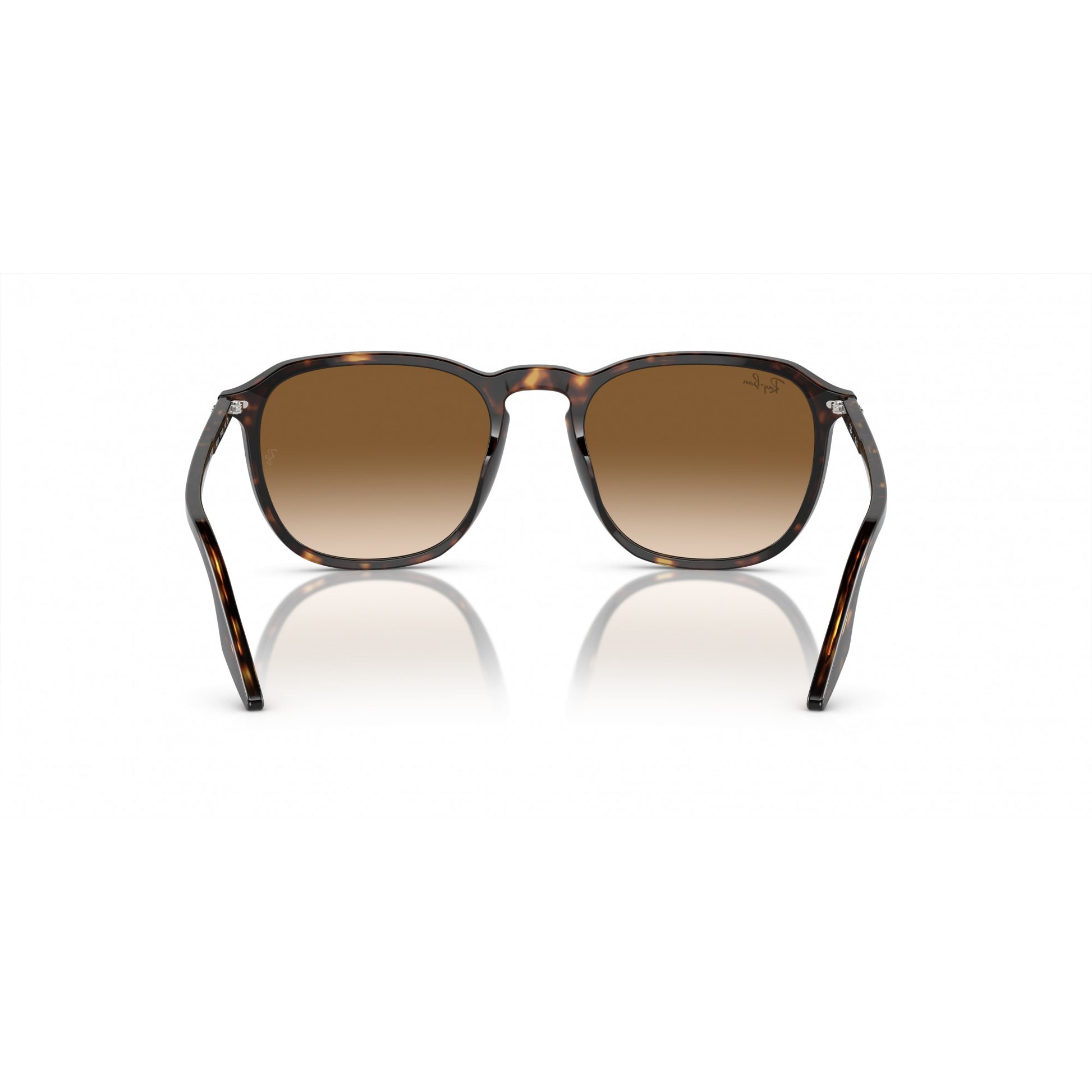 Ray-Ban 0RB2203