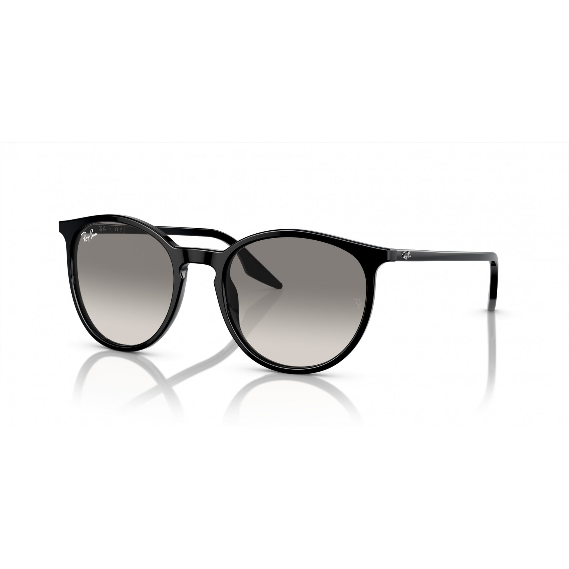 Ray-Ban 0RB2204