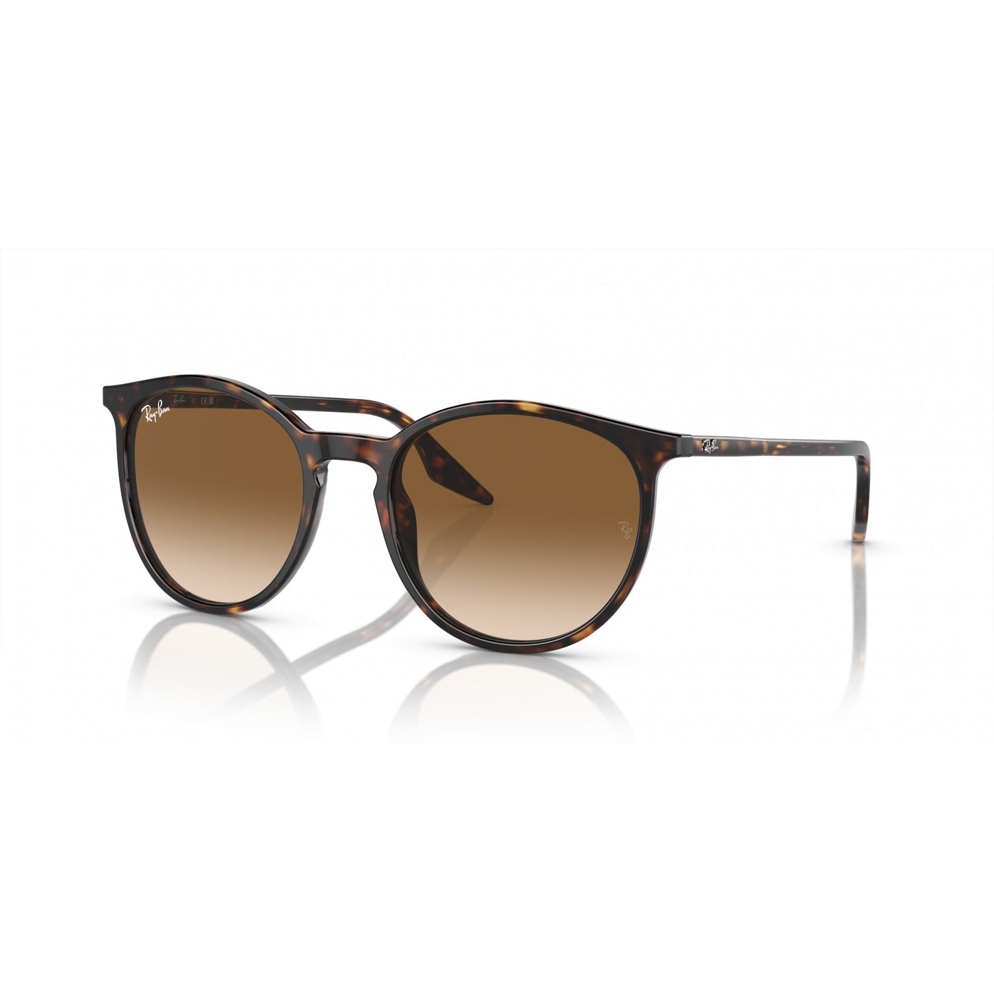 Ray-Ban 0RB2204