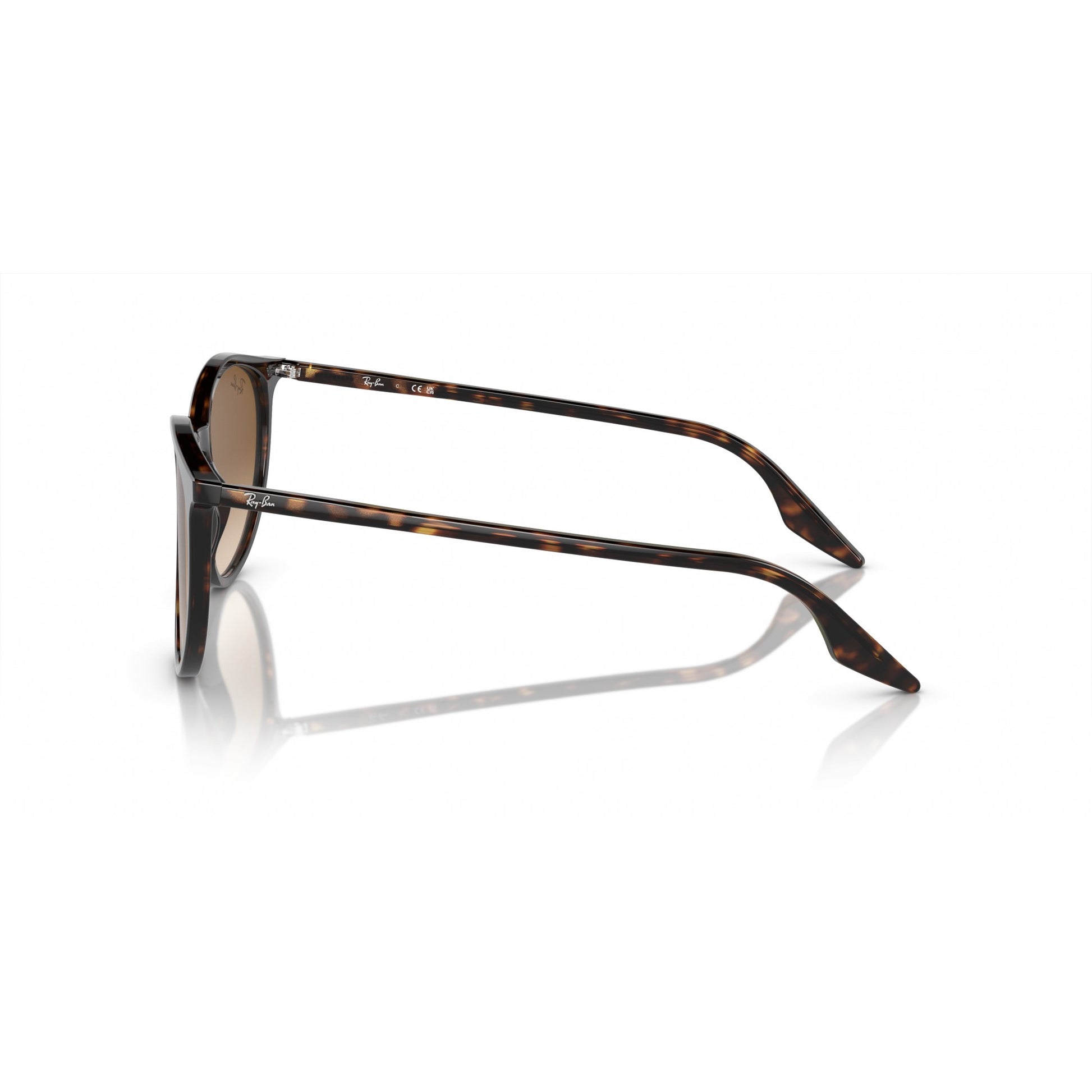 Ray-Ban 0RB2204