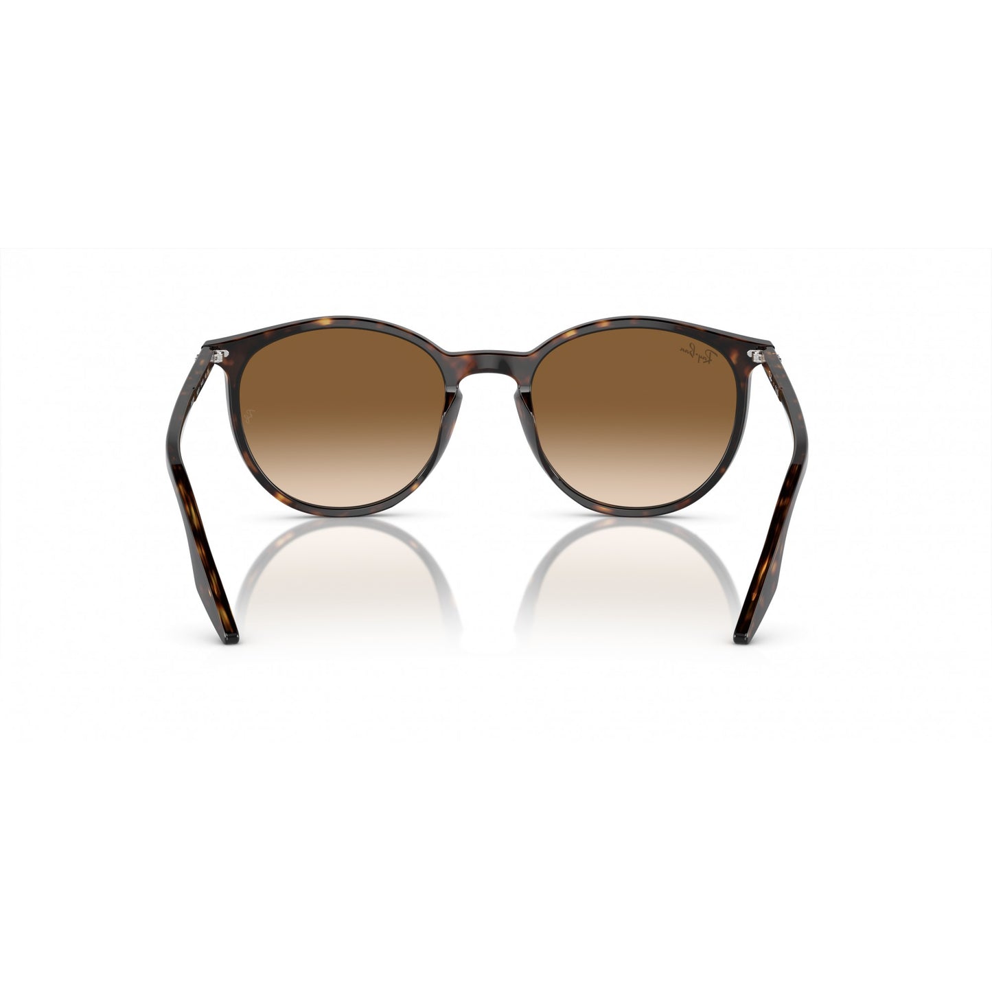 Ray-Ban 0RB2204
