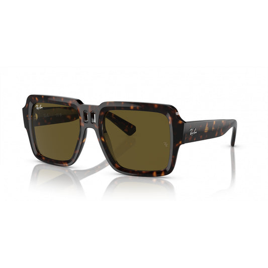 Ray-Ban 0RB4408