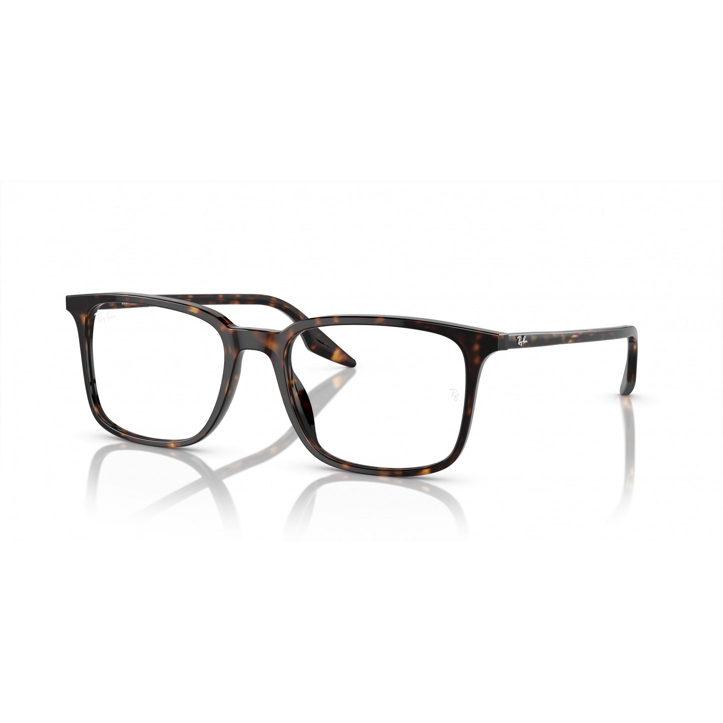 Ray-Ban 0RX5421
