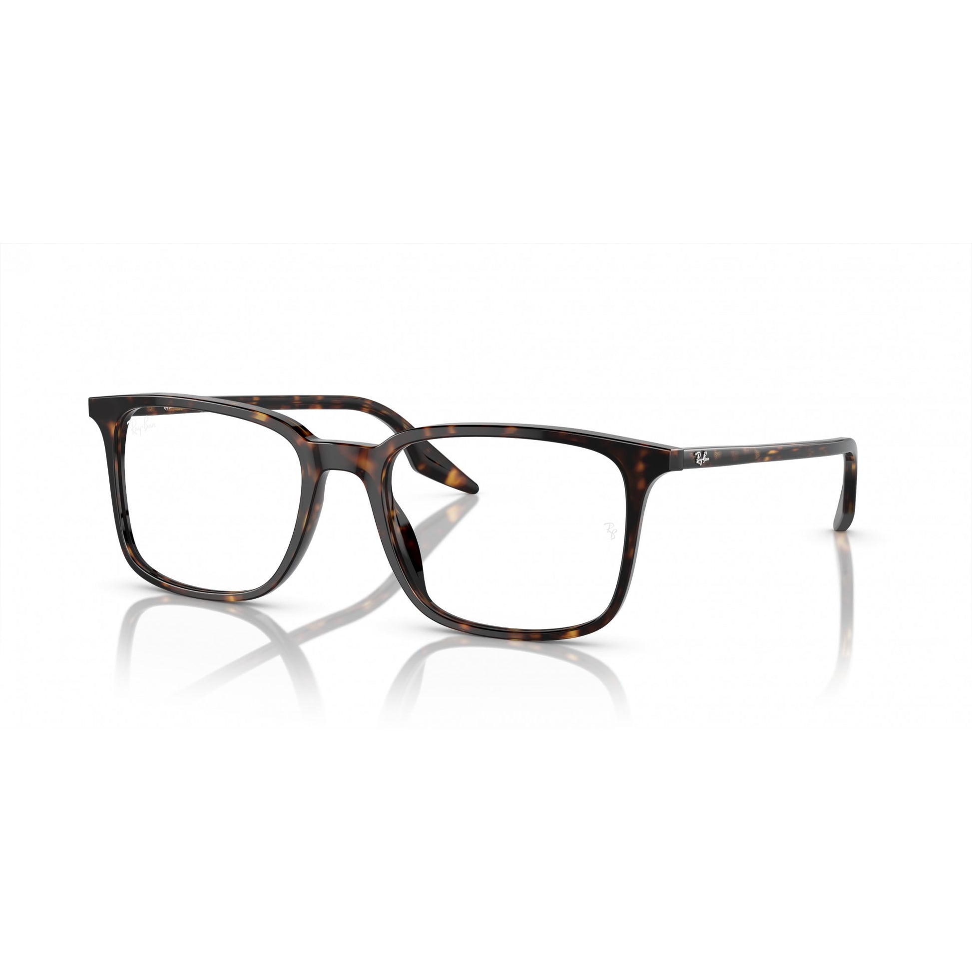 Ray-Ban 0RX5421