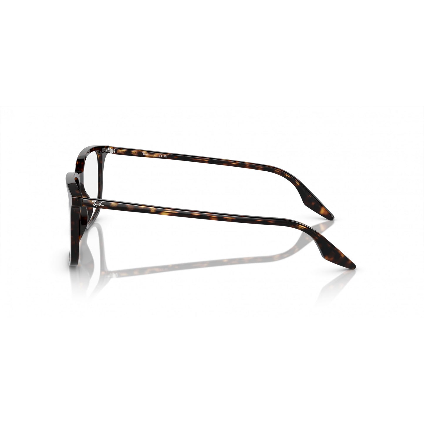 Ray-Ban 0RX5421