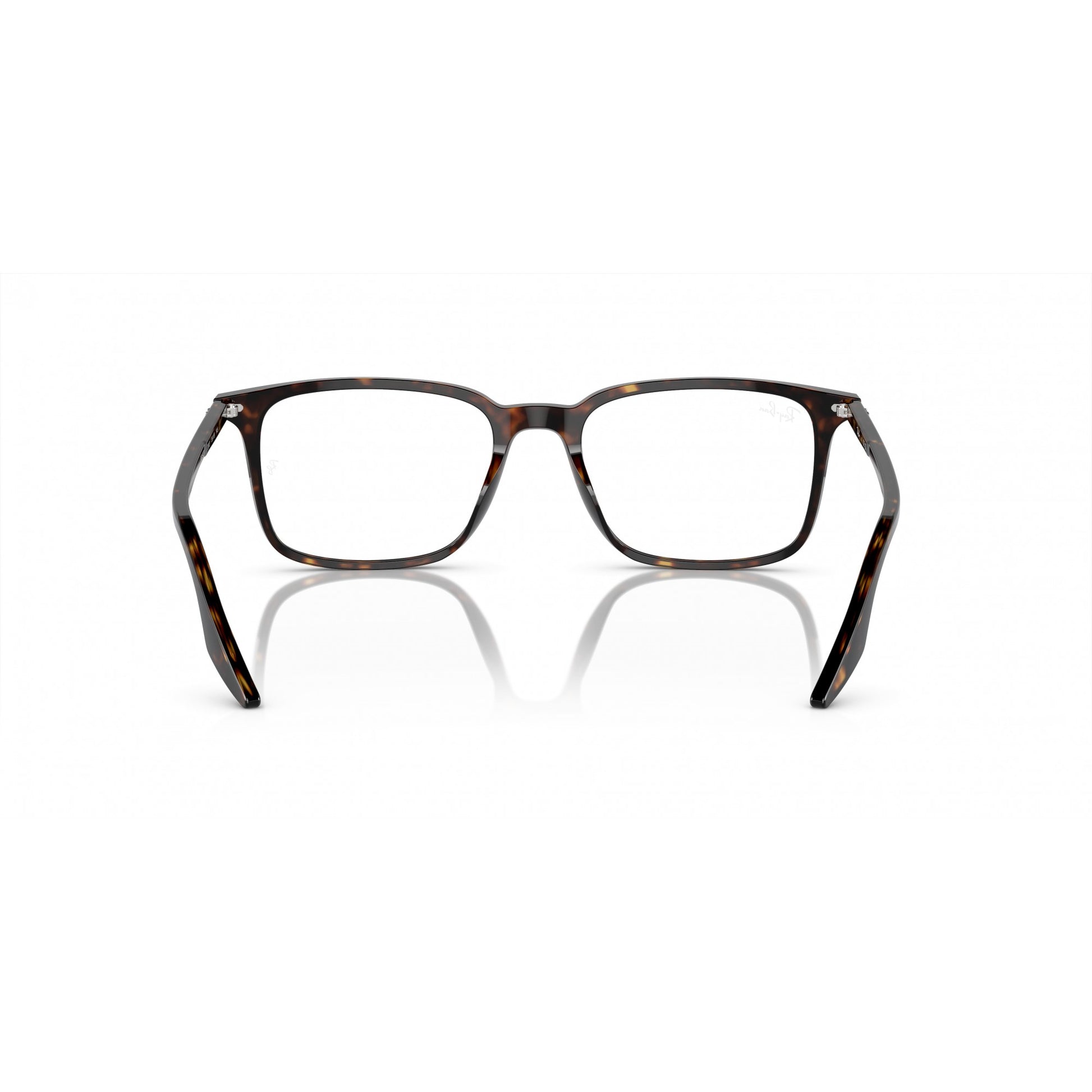 Ray-Ban 0RX5421