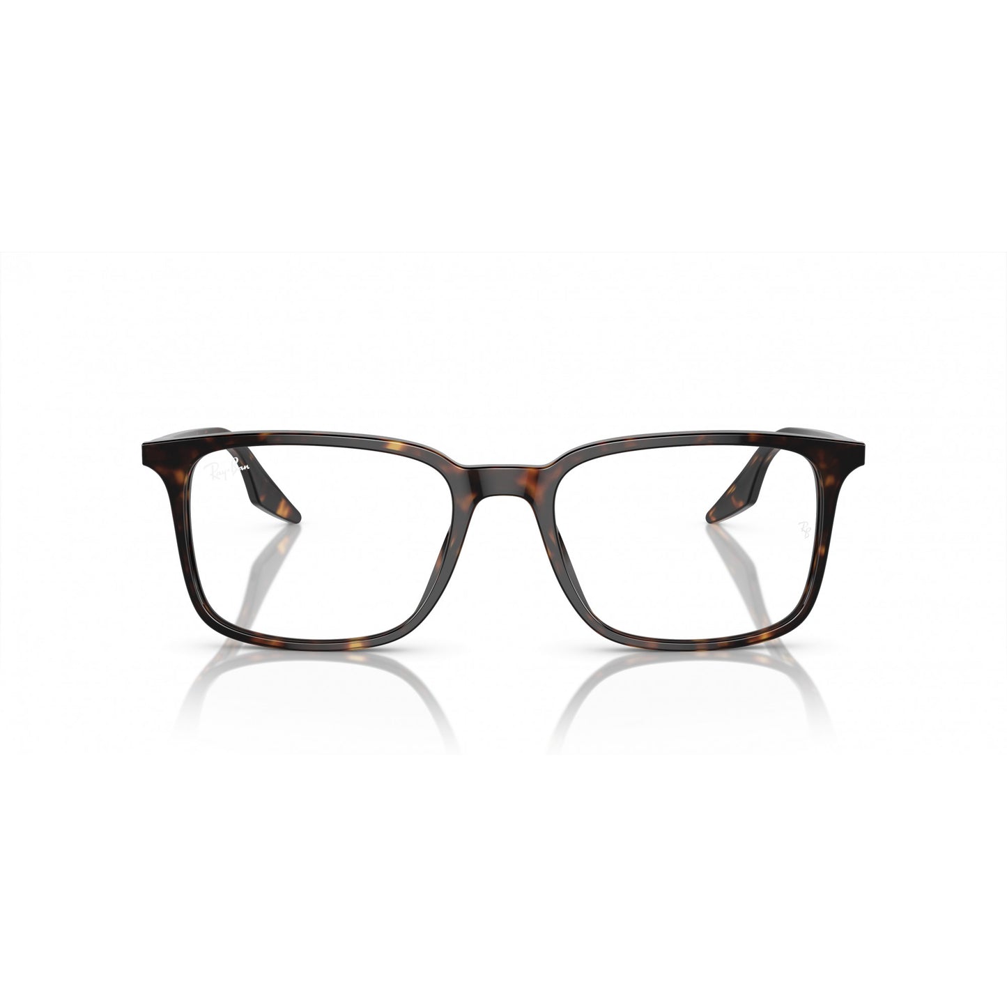 Ray-Ban 0RX5421