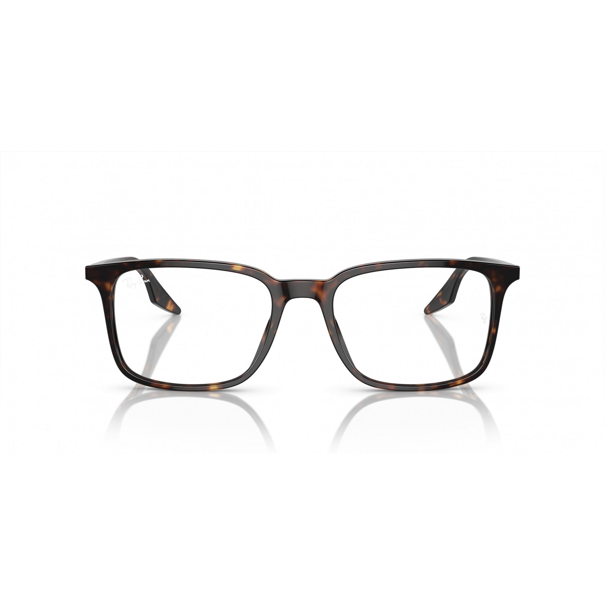 Ray-Ban 0RX5421