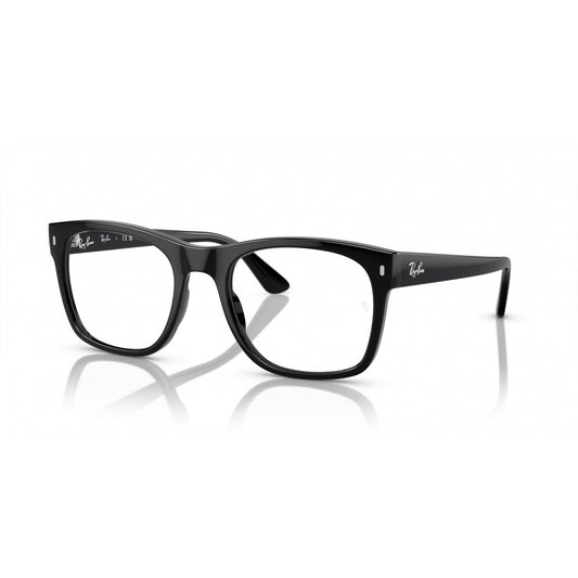 Ray-Ban 0RX7228