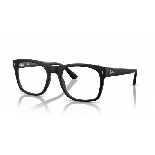 Ray-Ban 0RX7228