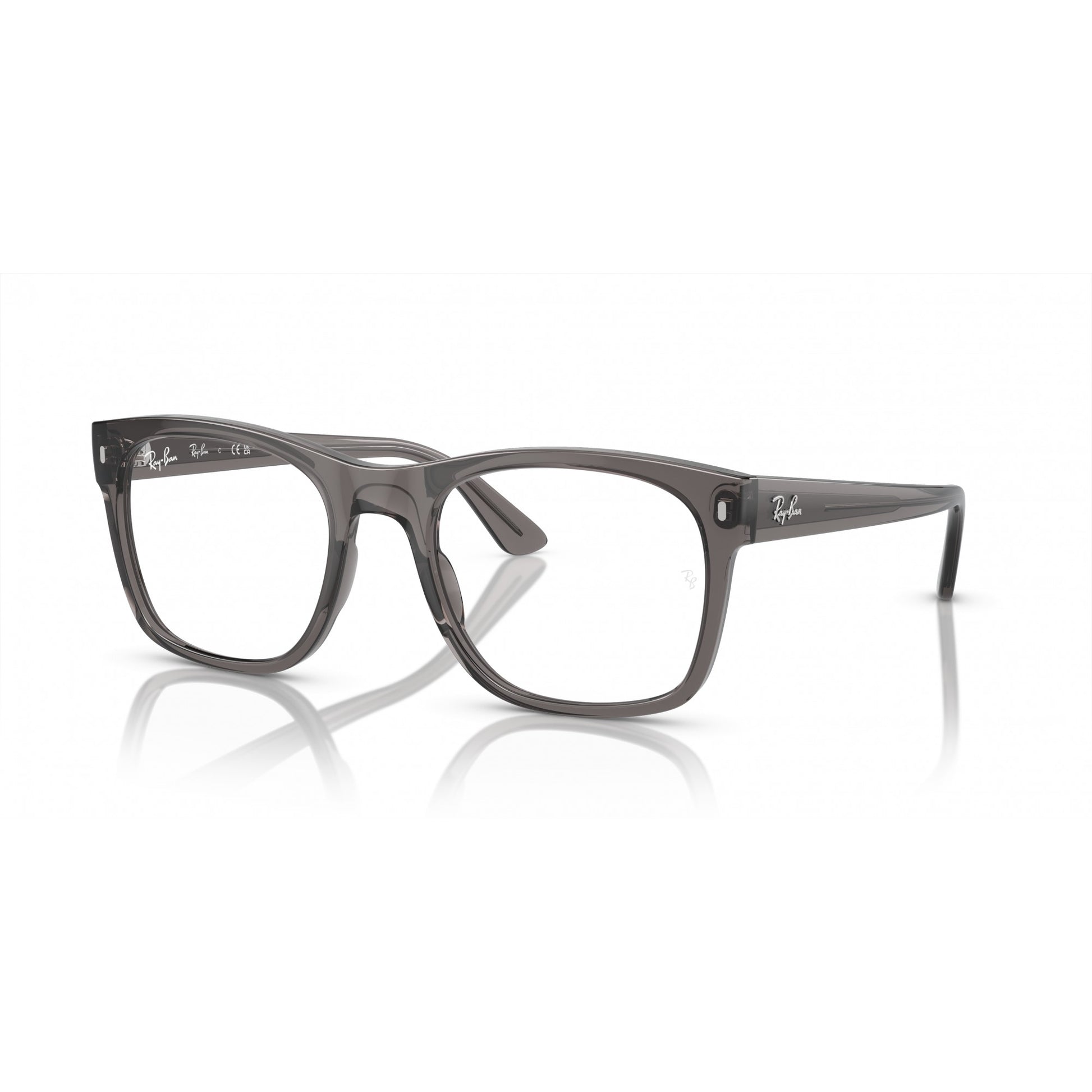 Ray-Ban 0RX7228
