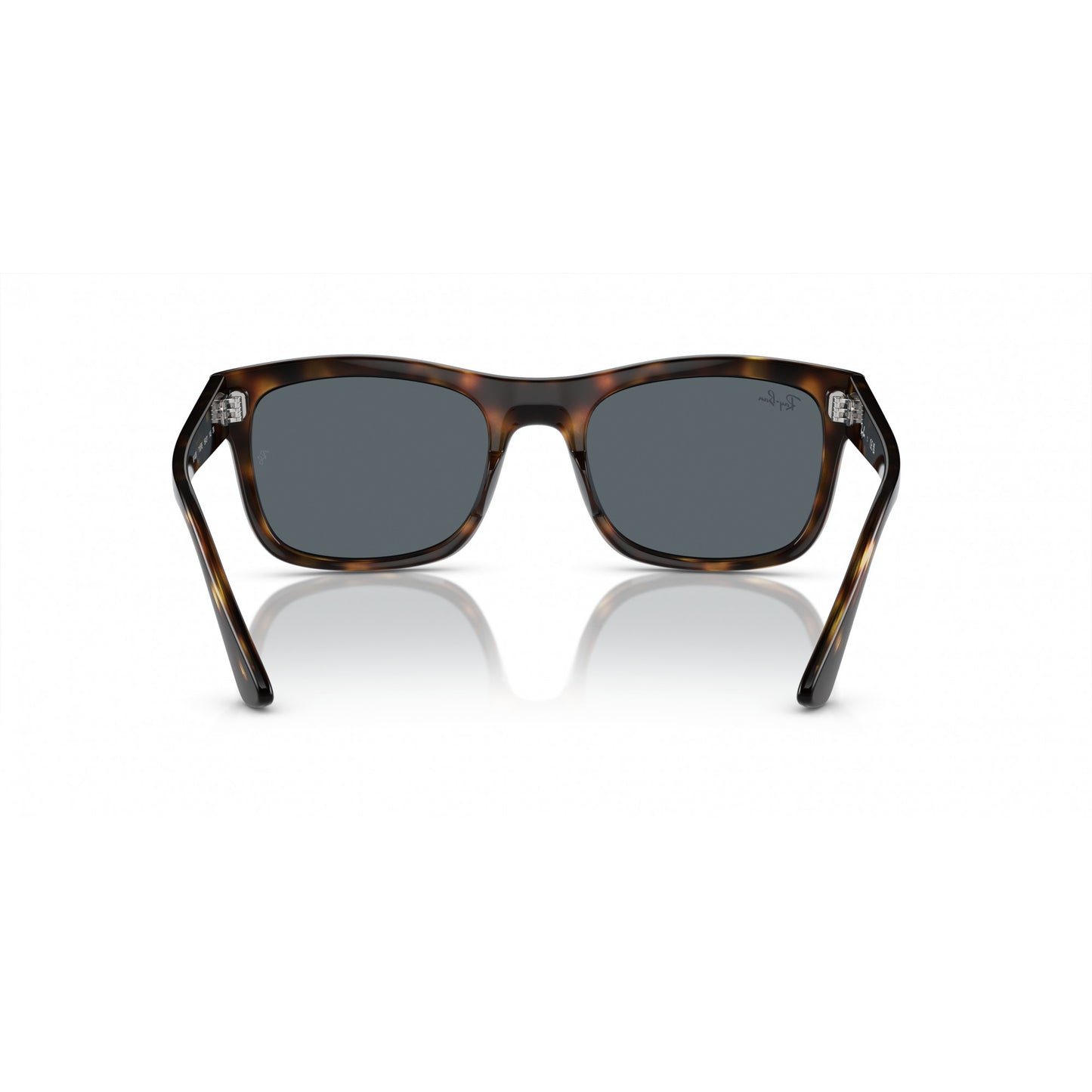Ray-Ban 0RB4428