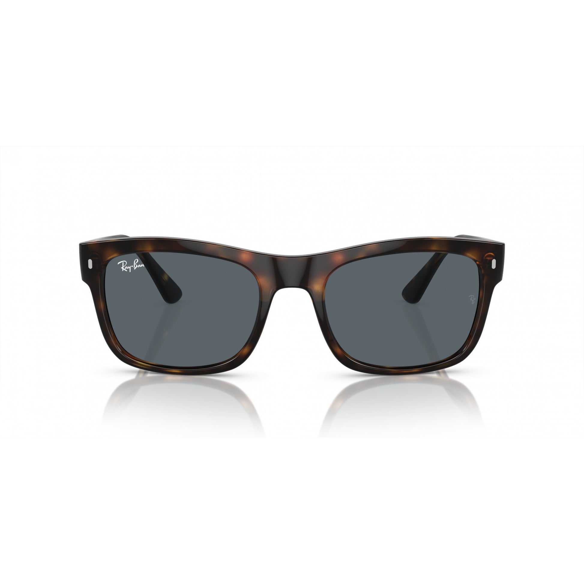 Ray-Ban 0RB4428