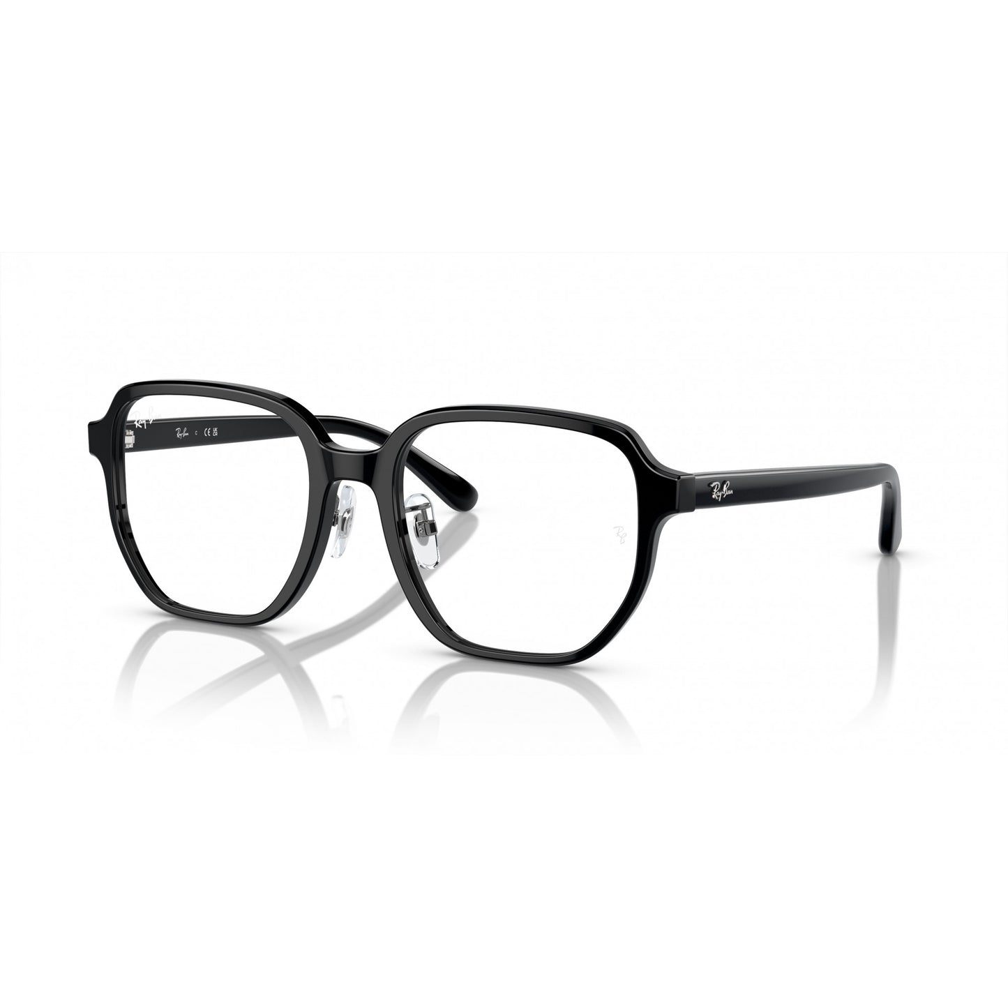 Ray-Ban 0RX5424D