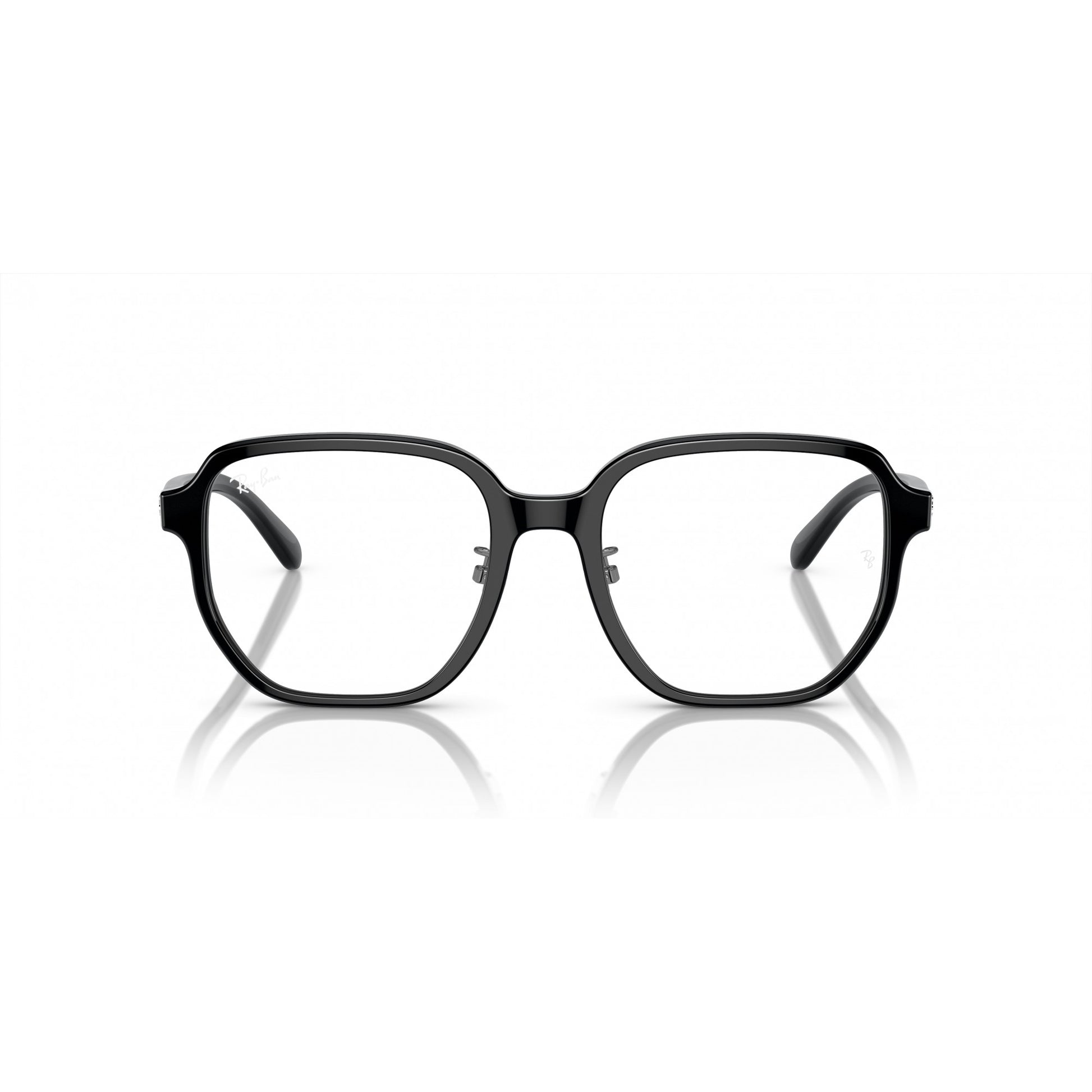 Ray-Ban 0RX5424D