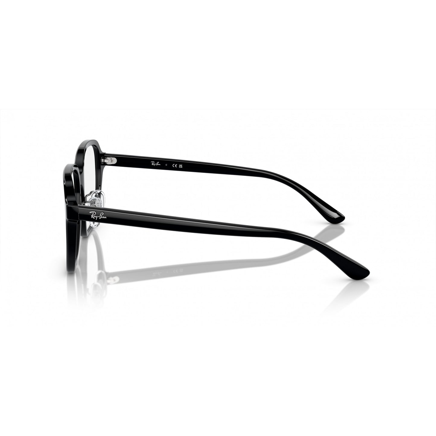 Ray-Ban 0RX5424D