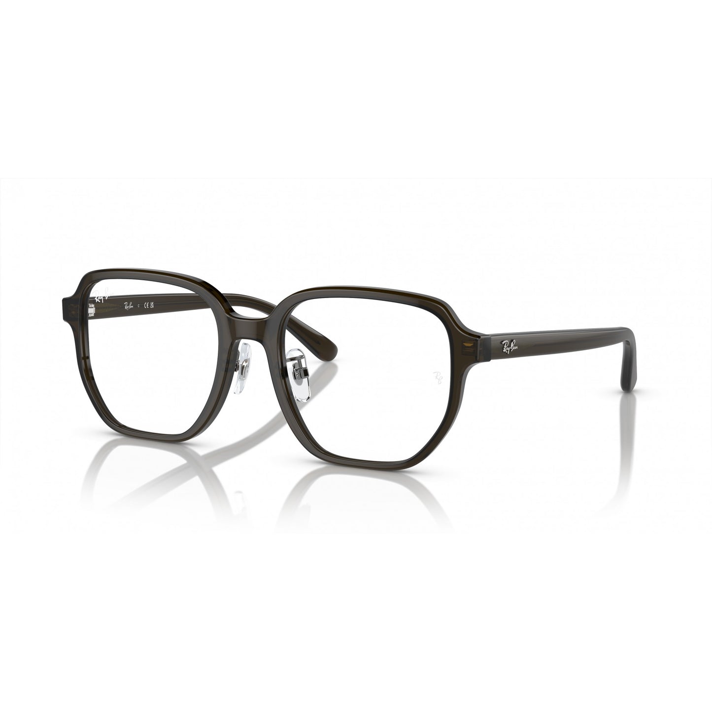 Ray-Ban 0RX5424D