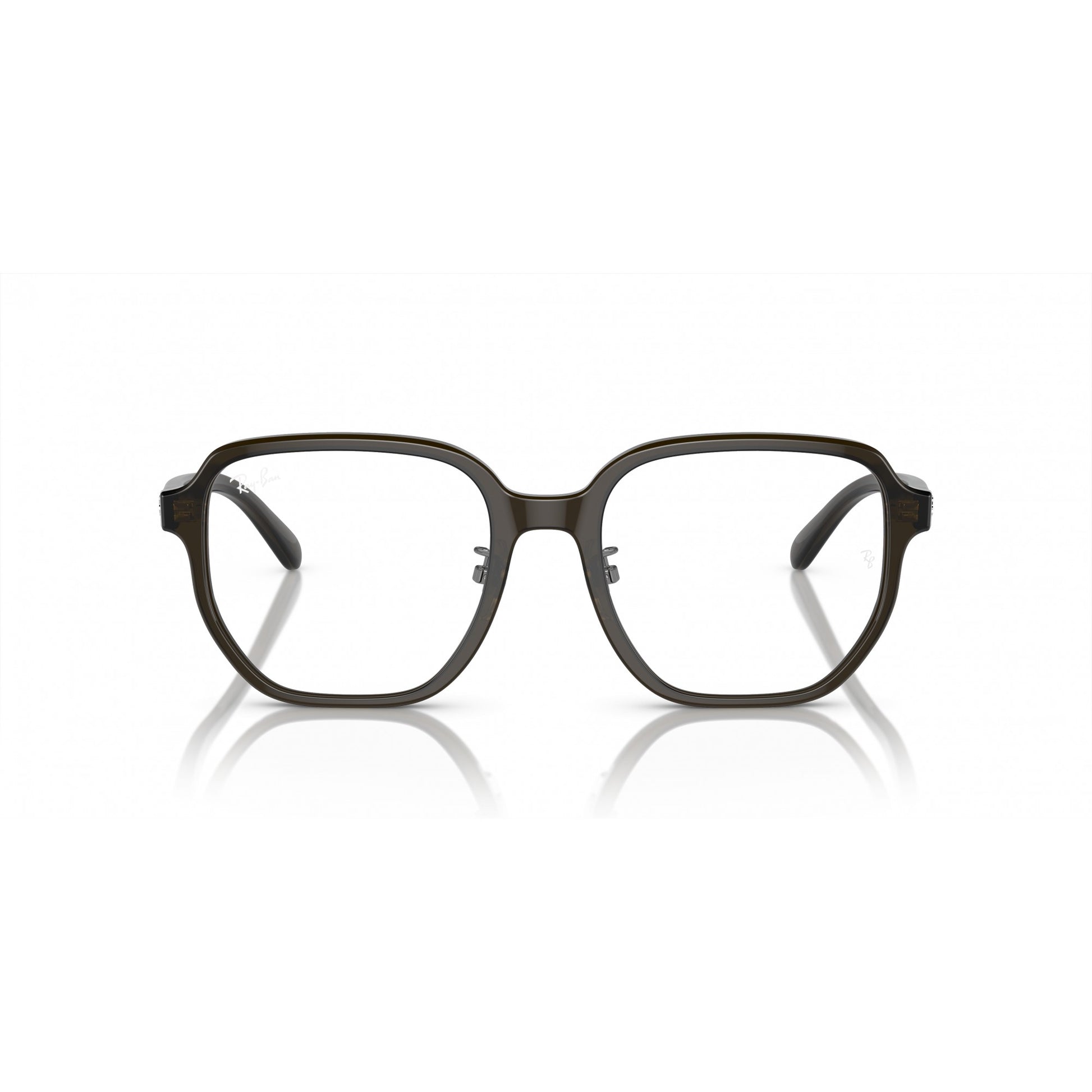 Ray-Ban 0RX5424D