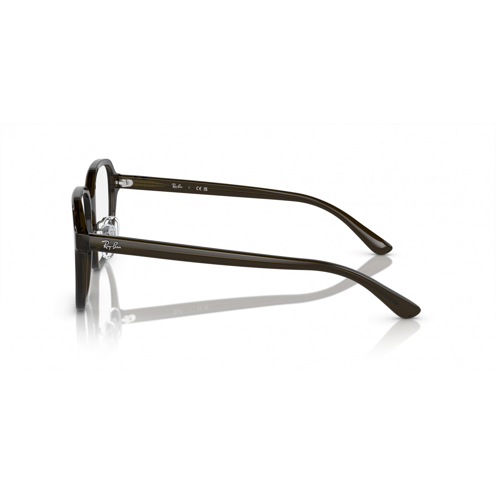 Ray-Ban 0RX5424D