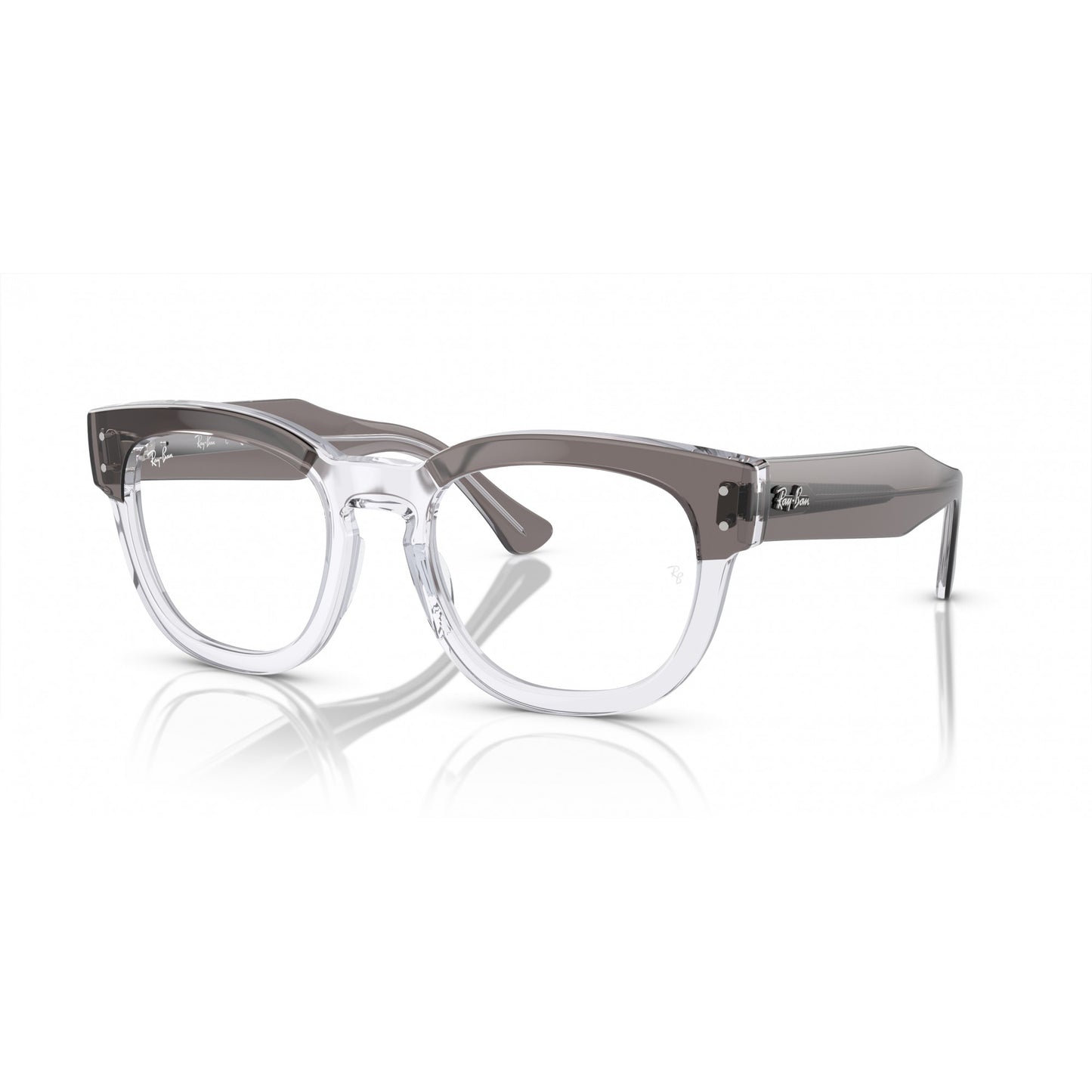 Ray-Ban 0RX0298V