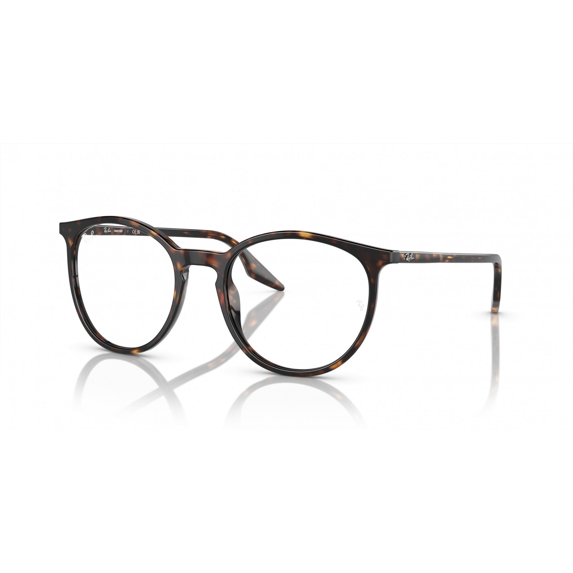Ray-Ban 0RB2204