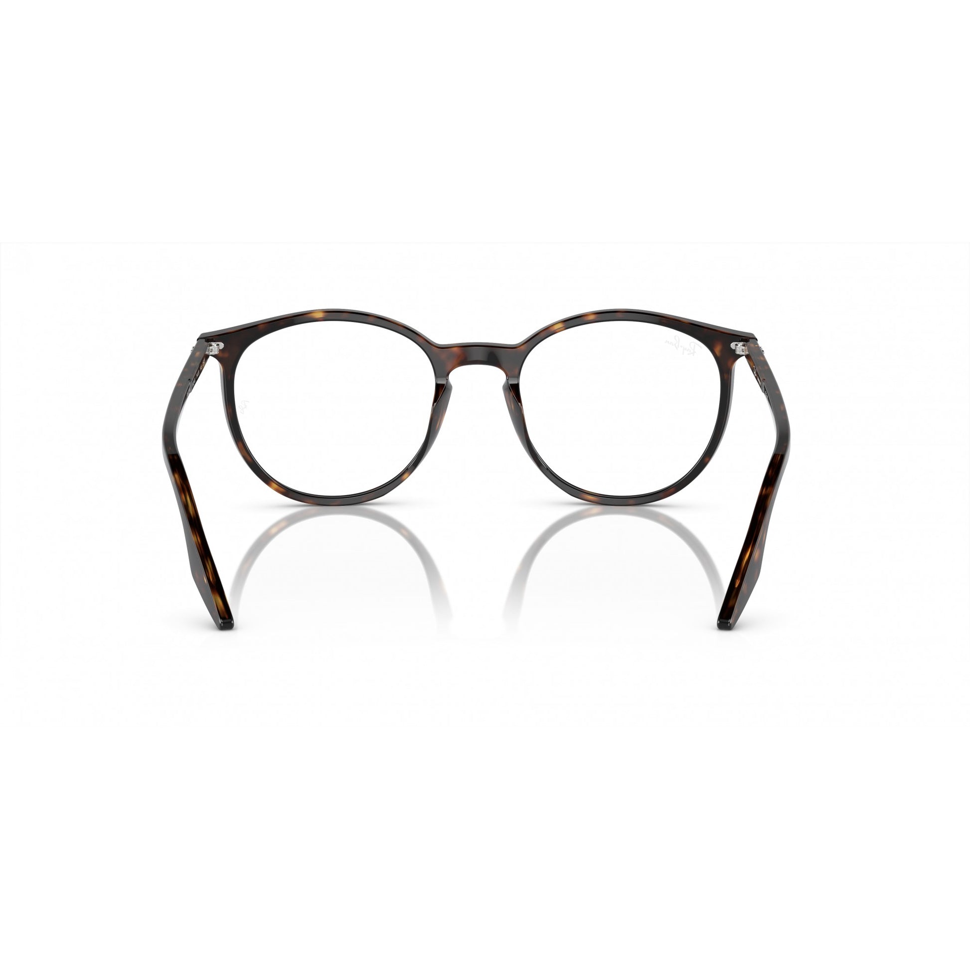 Ray-Ban 0RB2204