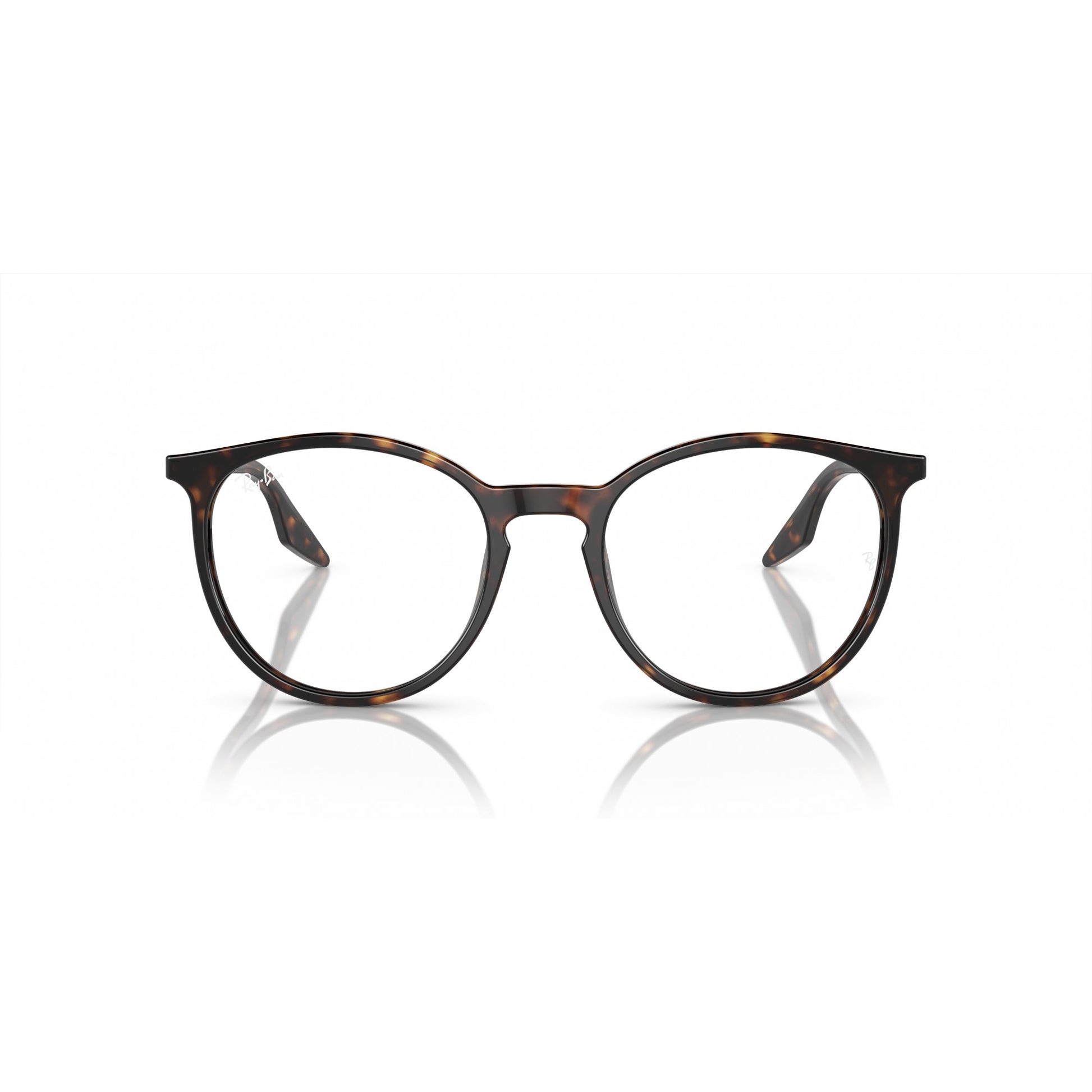 Ray-Ban 0RB2204