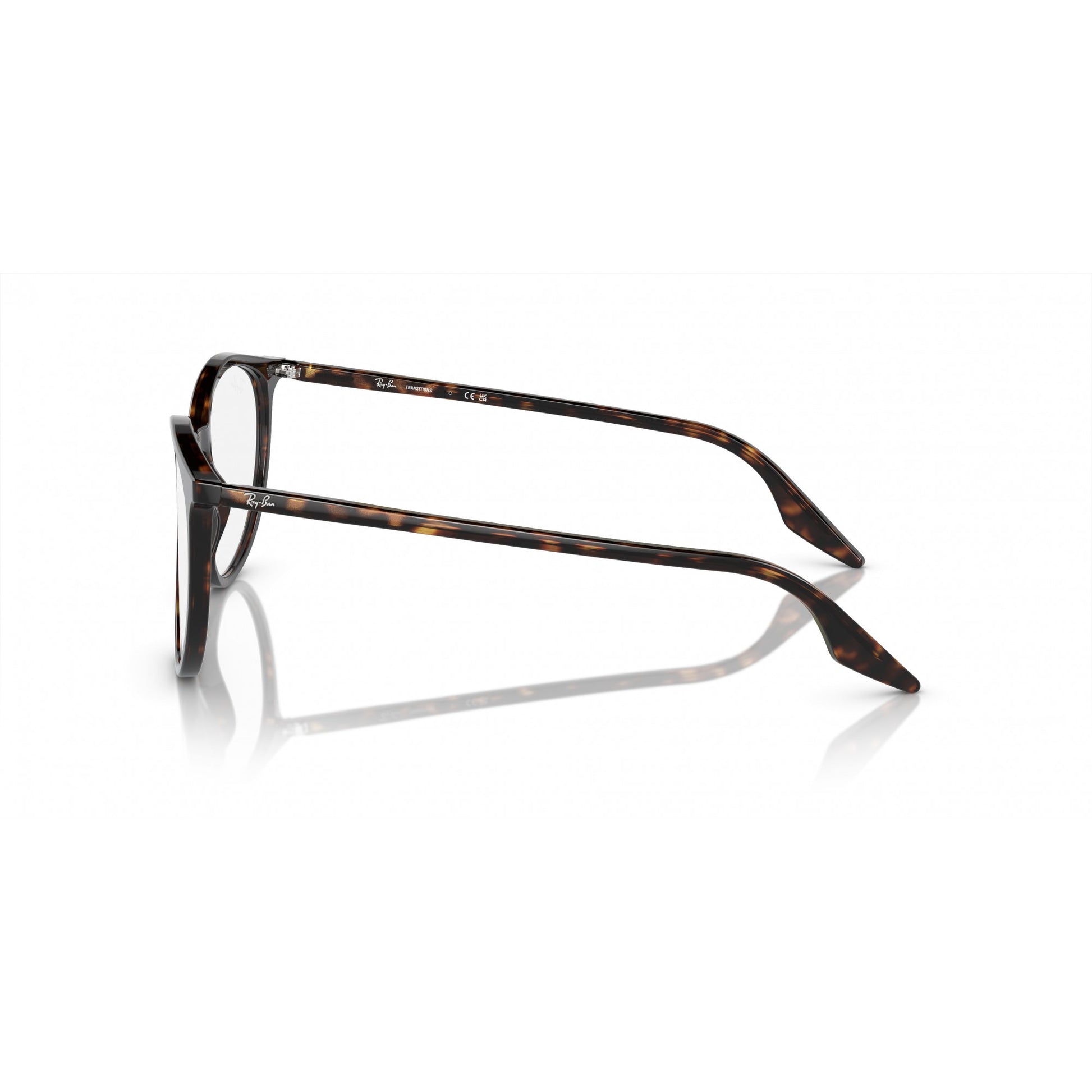 Ray-Ban 0RB2204
