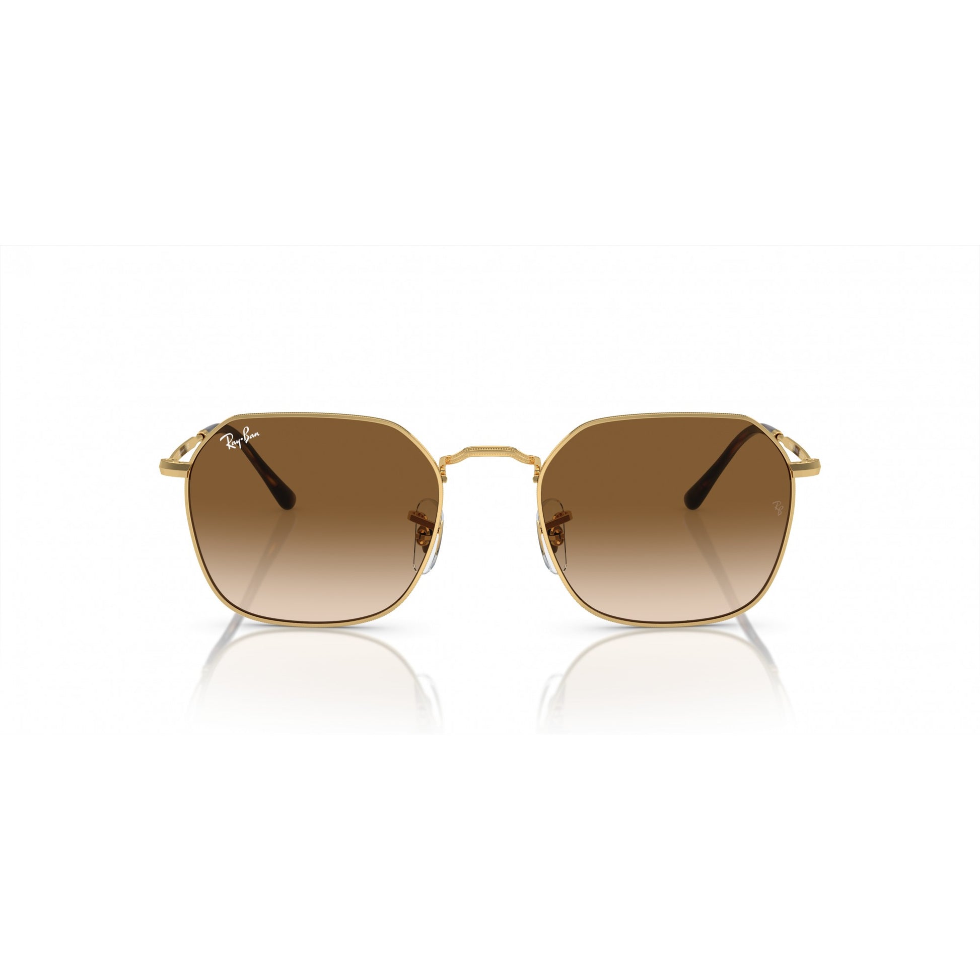 Ray-Ban 0RB3694