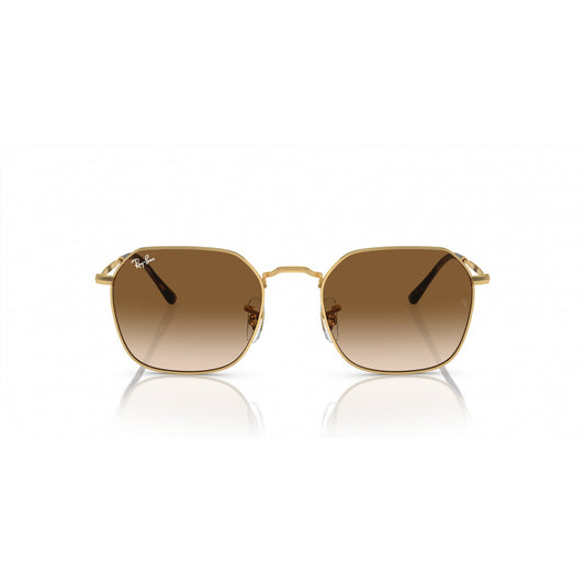 Ray-Ban 0RB3694
