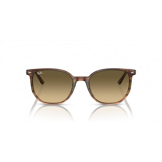 Ray-Ban 0RB2197