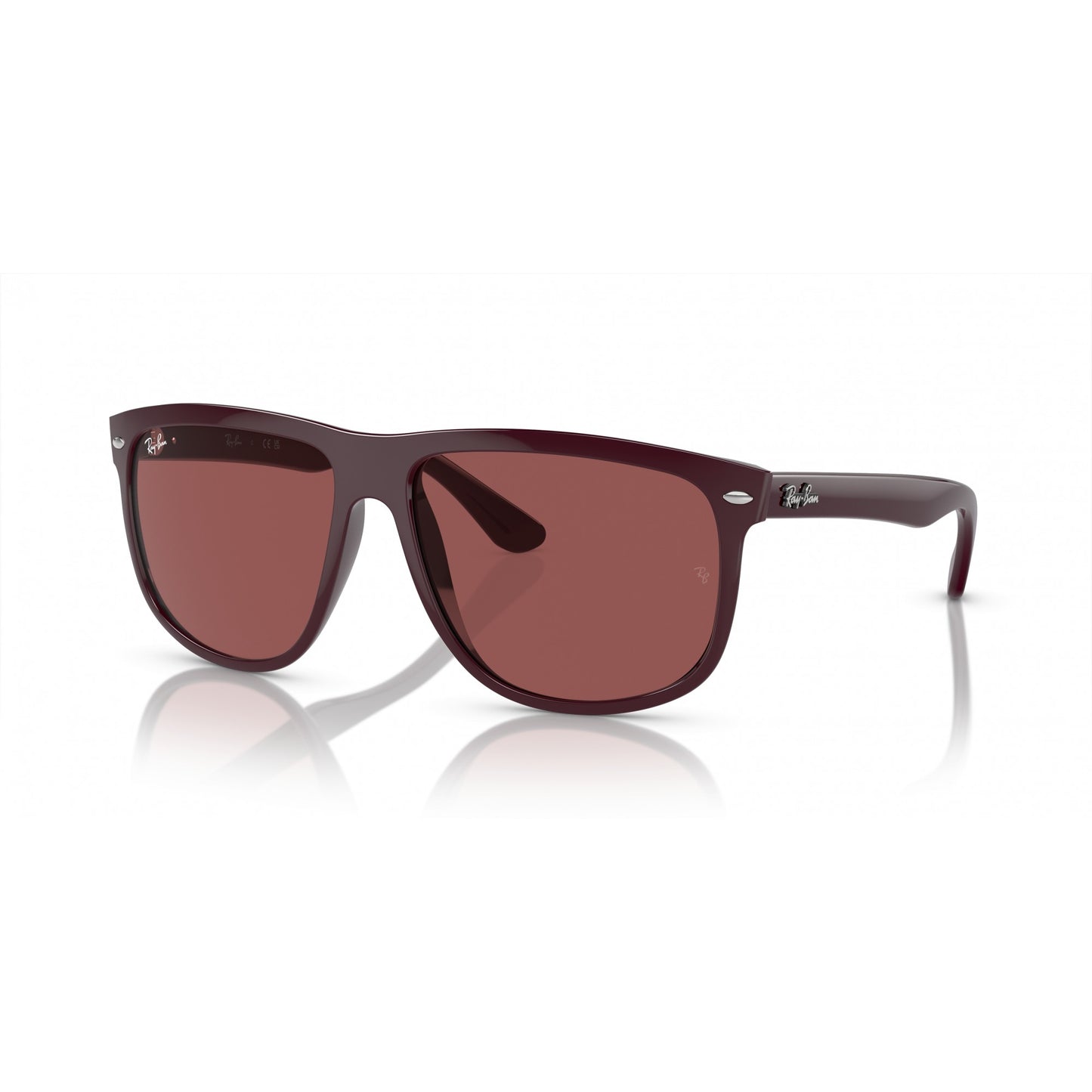 Ray-Ban 0RB4147