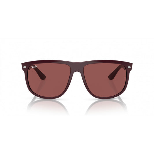 Ray-Ban 0RB4147