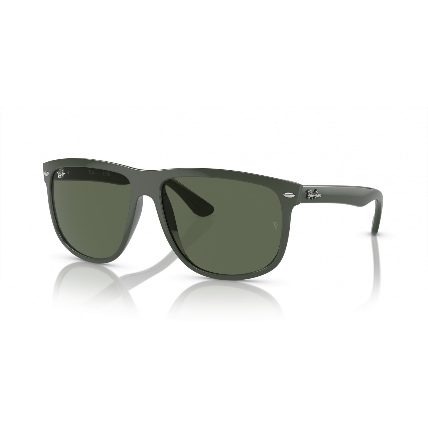 Ray-Ban 0RB4147