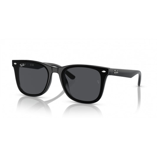 Ray-Ban 0RB4420