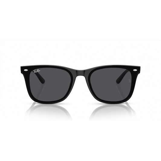 Ray-Ban 0RB4420