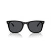 Ray-Ban 0RB4420