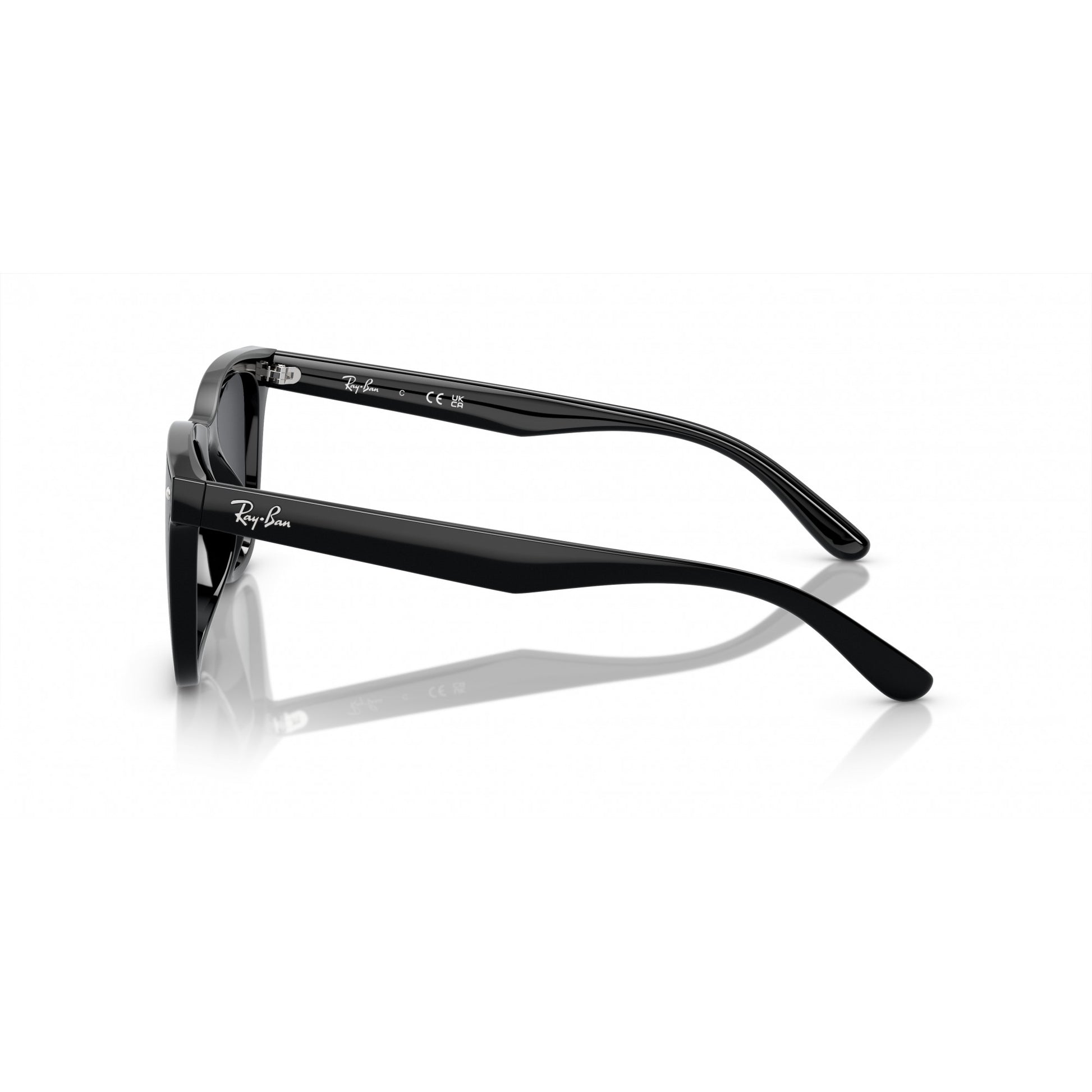 Ray-Ban 0RB4420