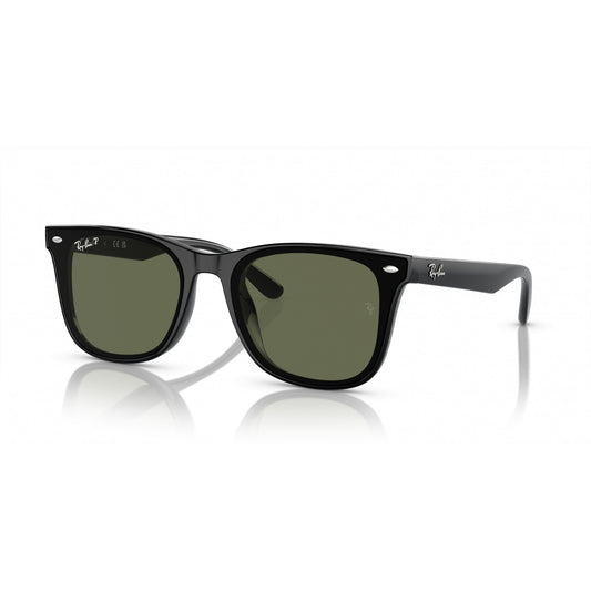 Ray-Ban 0RB4420