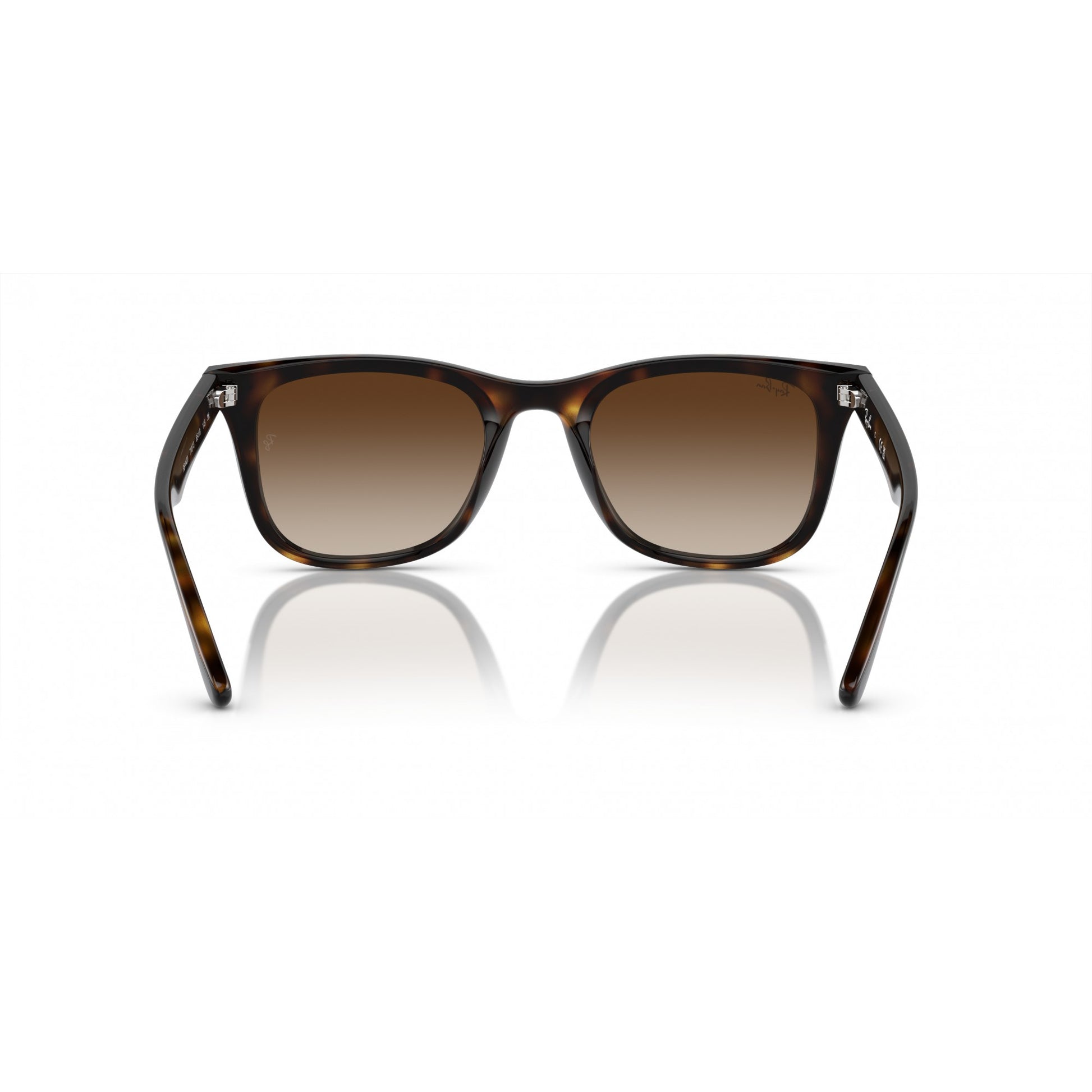 Ray-Ban 0RB4420