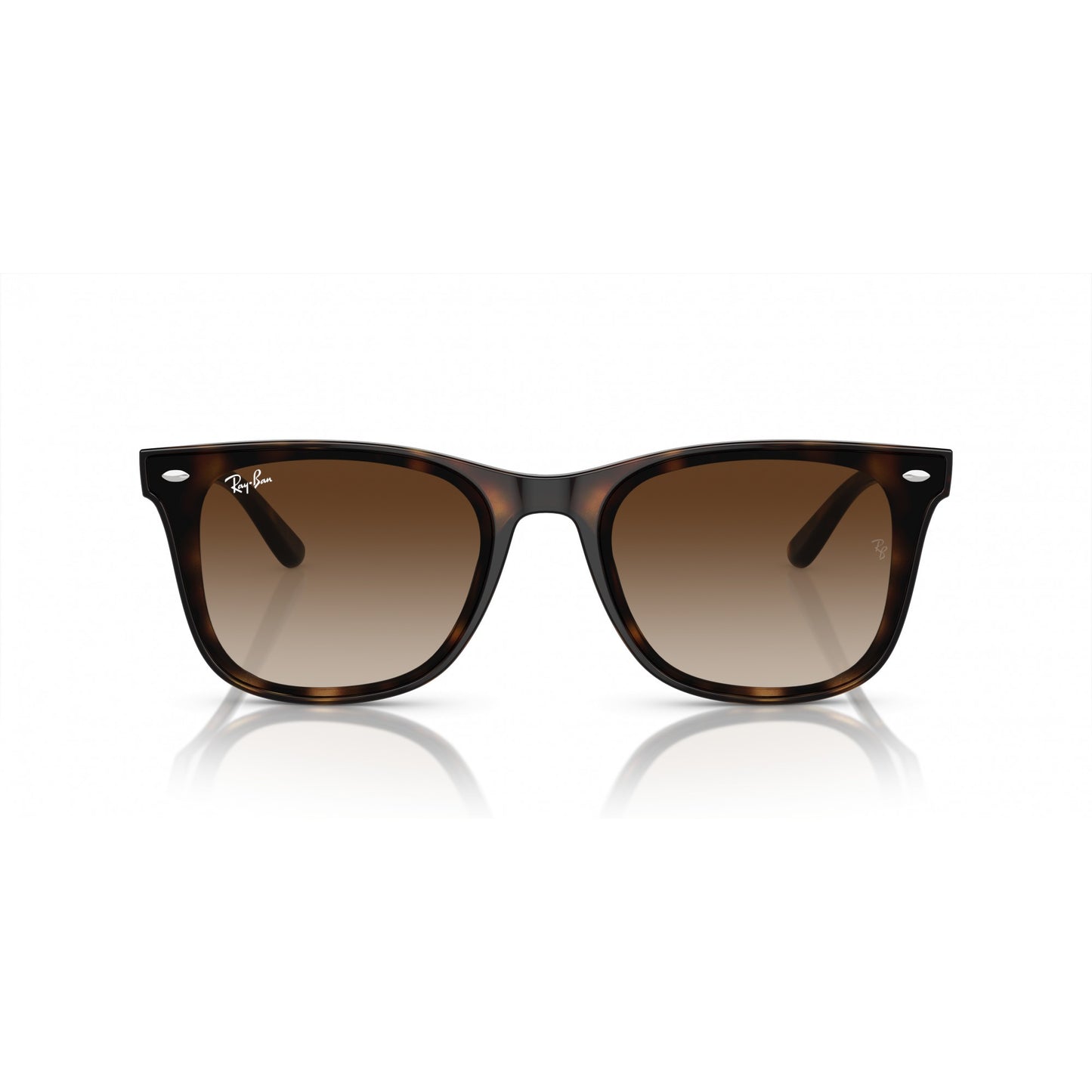 Ray-Ban 0RB4420