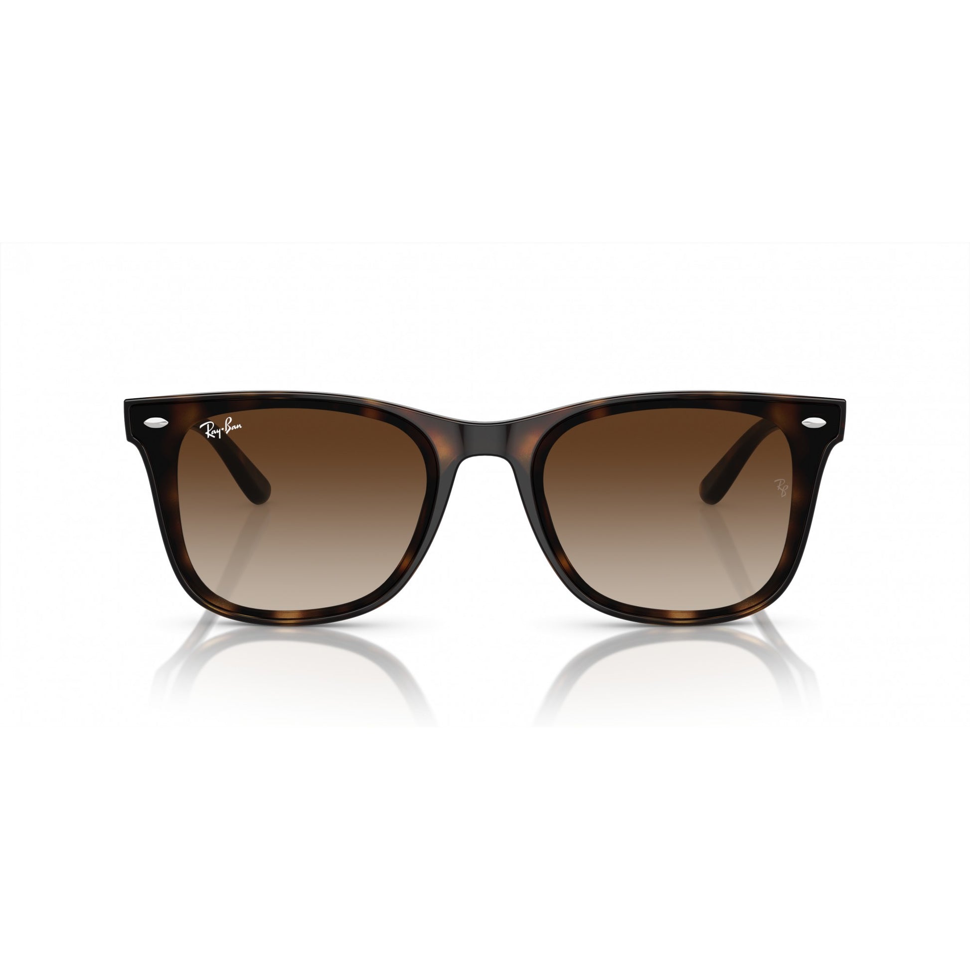 Ray-Ban 0RB4420