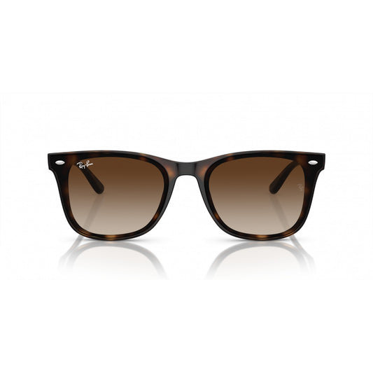 Ray-Ban 0RB4420