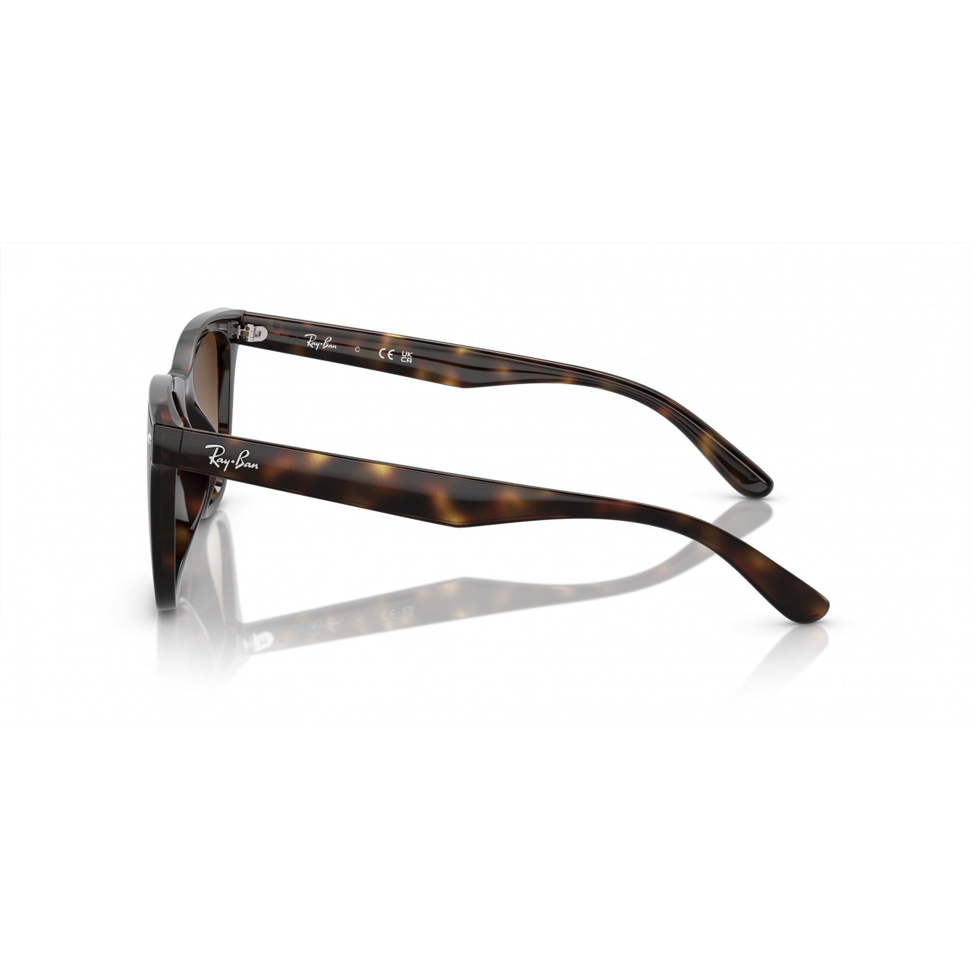 Ray-Ban 0RB4420