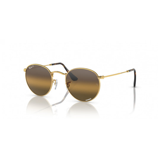 Ray-Ban 0RB3447