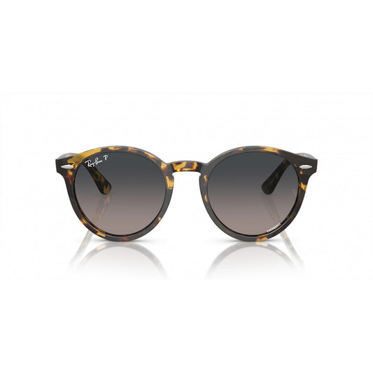 Ray-Ban 0RB7680S